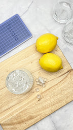 Mini Ice Mold