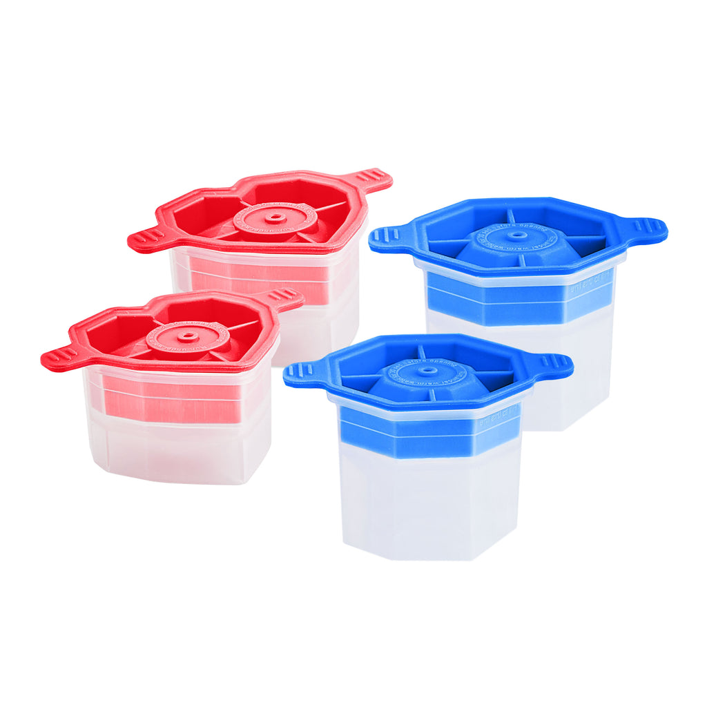 Designer Ice Mold