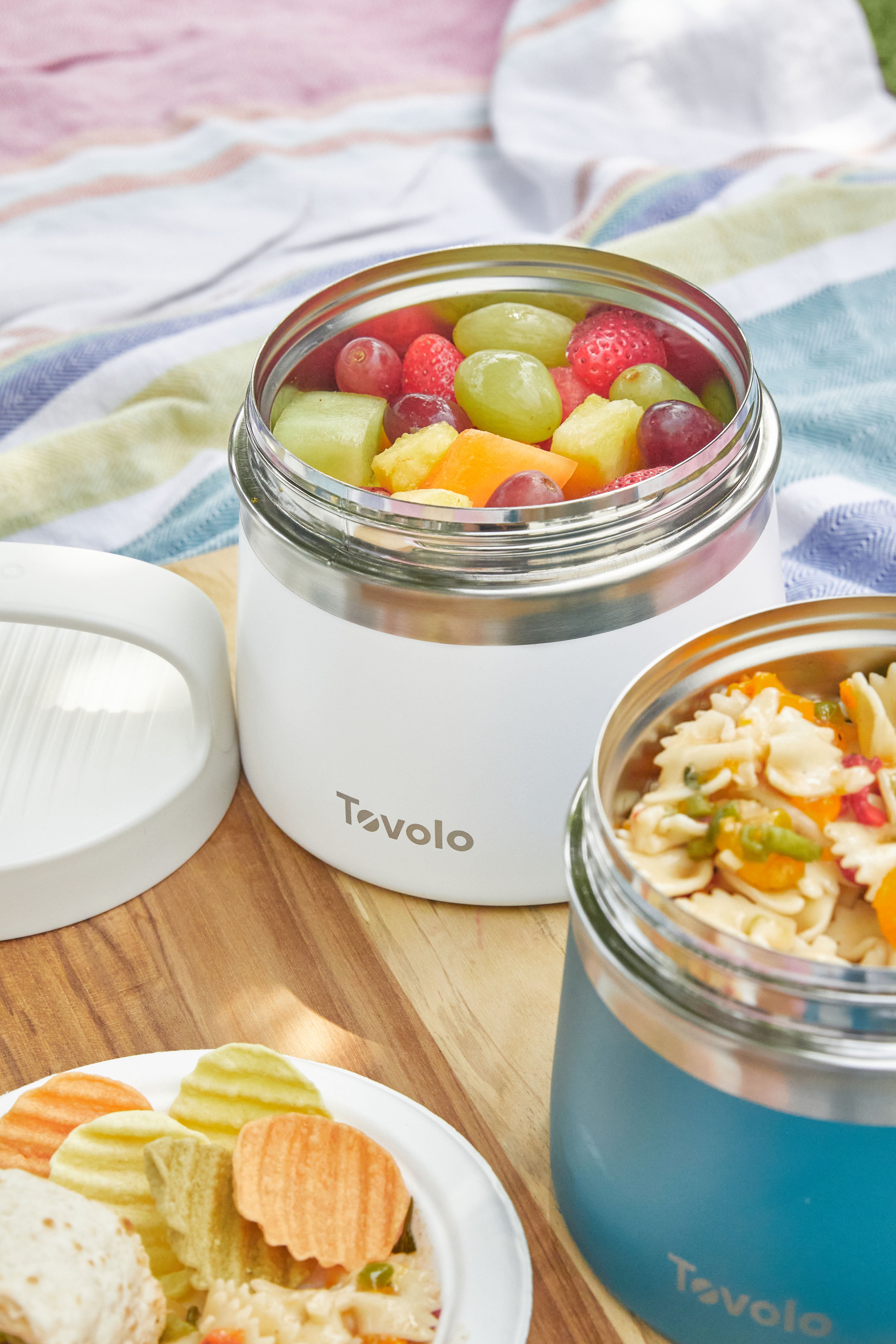 Insulated Food Traveler