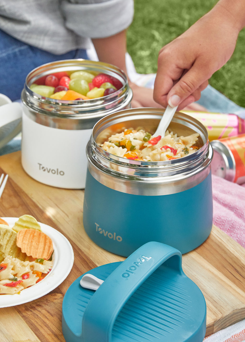 Insulated Food Traveler
