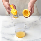 Citrus Reamer