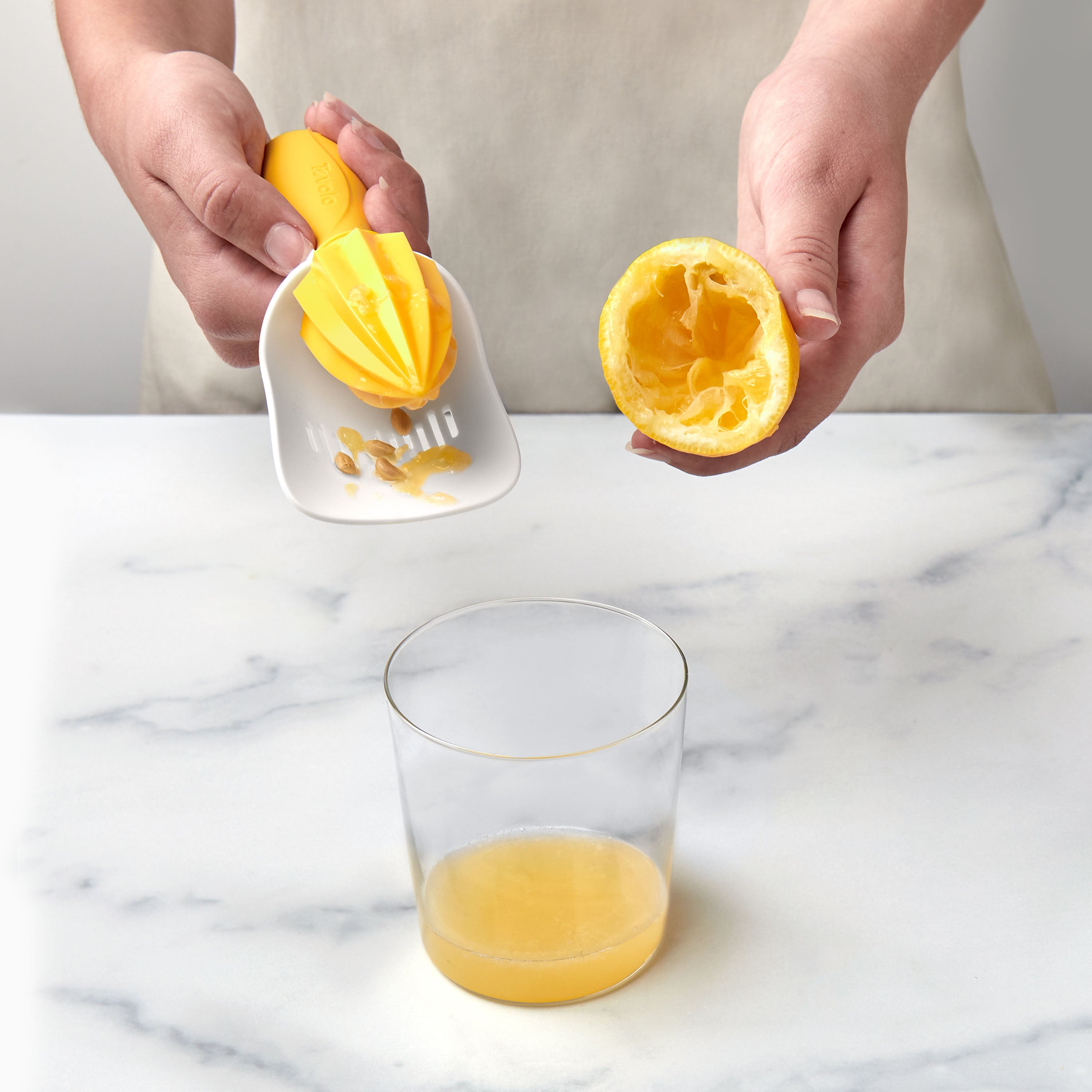 Citrus Reamer