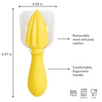 Citrus Reamer