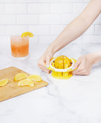Citrus Slicer and Wedger