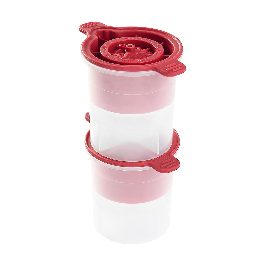 Holiday Ice Mold