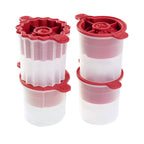 Holiday Ice Mold