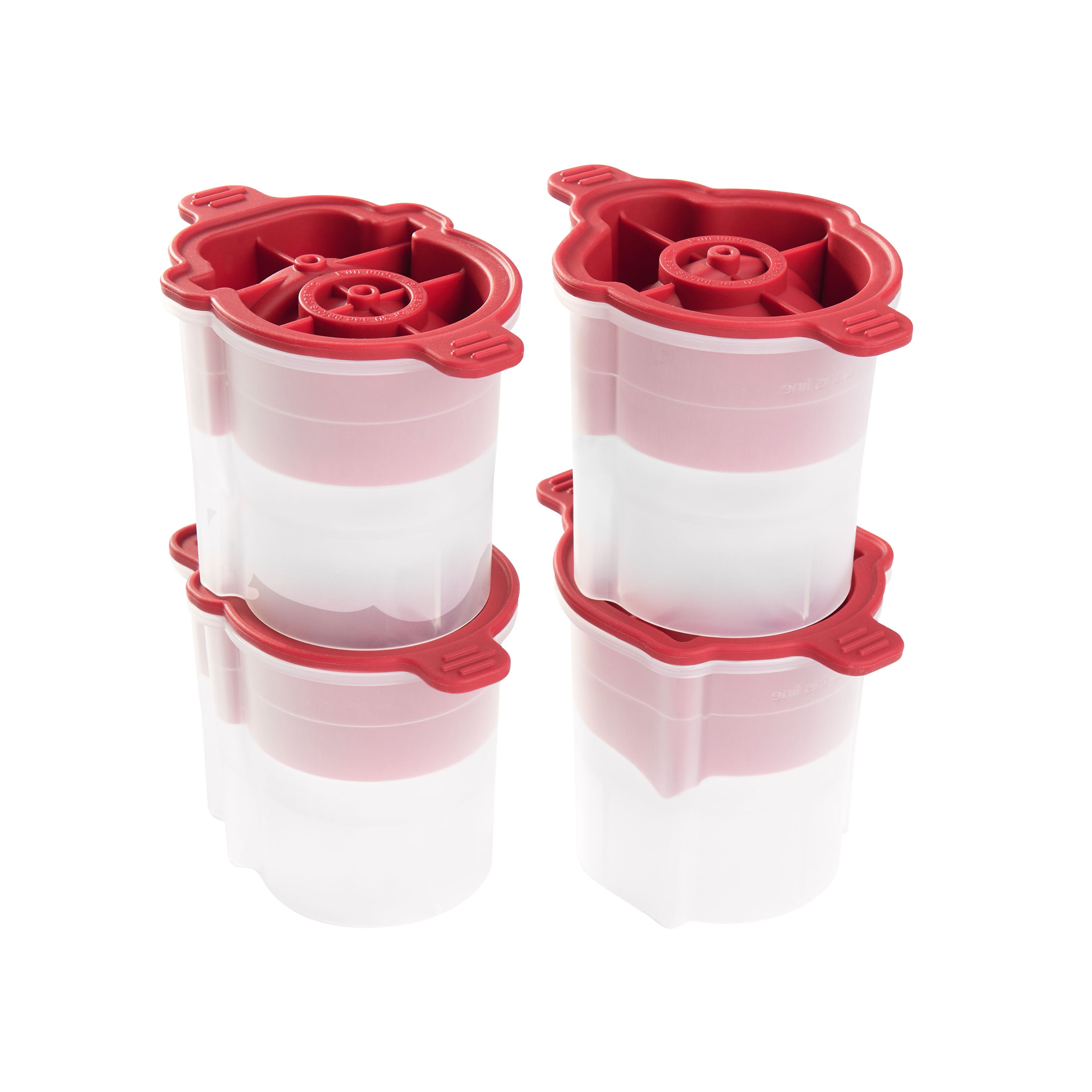 Holiday Ice Mold