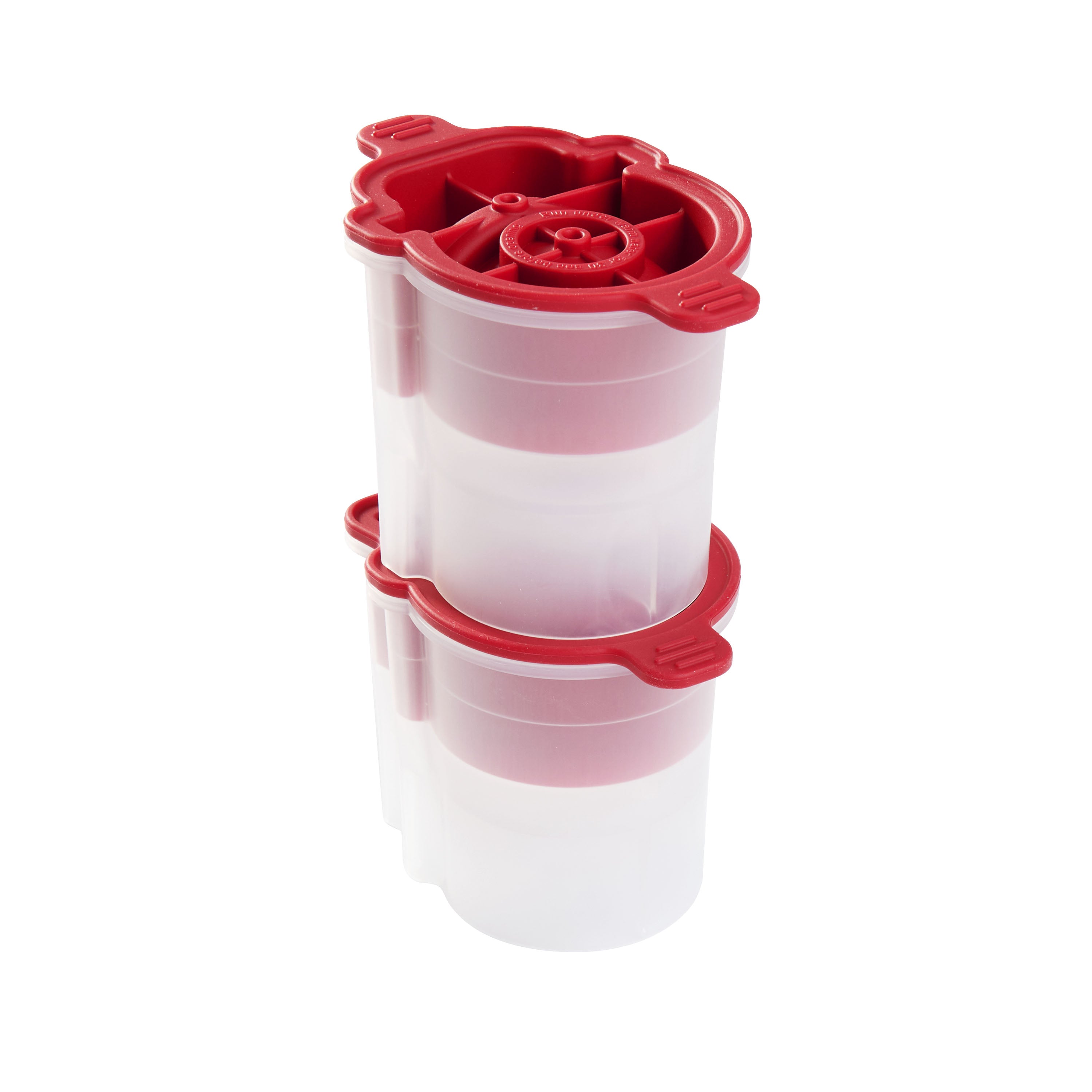Holiday Ice Mold