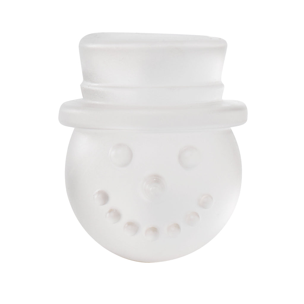 Holiday Ice Mold