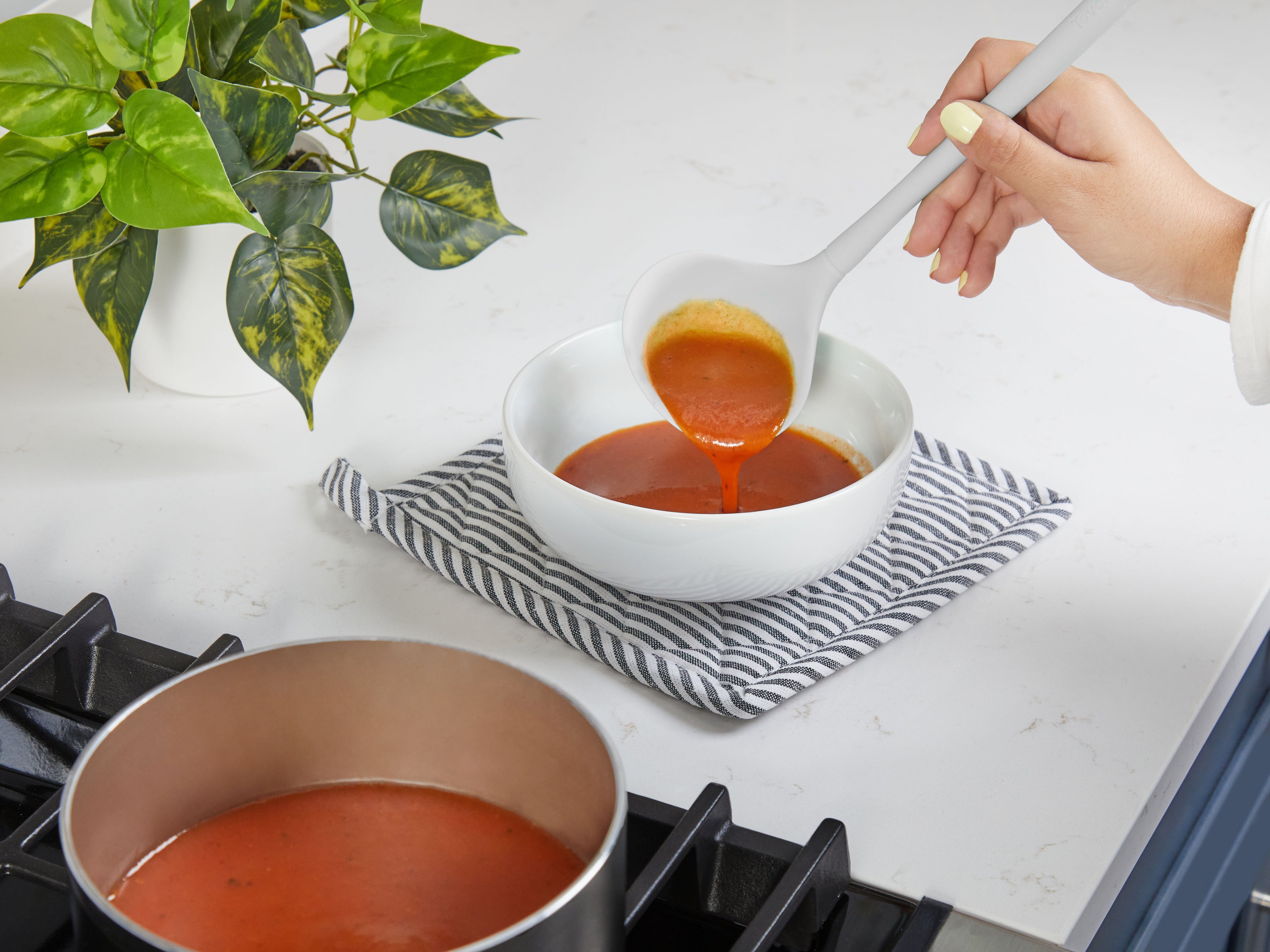 Flex-Core Ladle