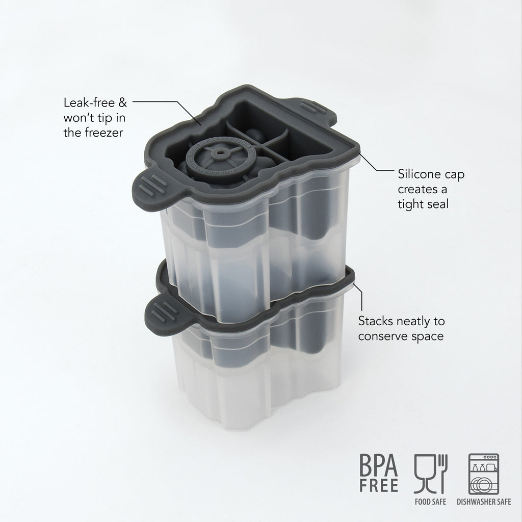 Designer Ice Mold