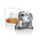 Designer Ice Mold