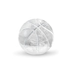Sports Ice Mold