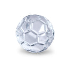 Sports Ice Mold