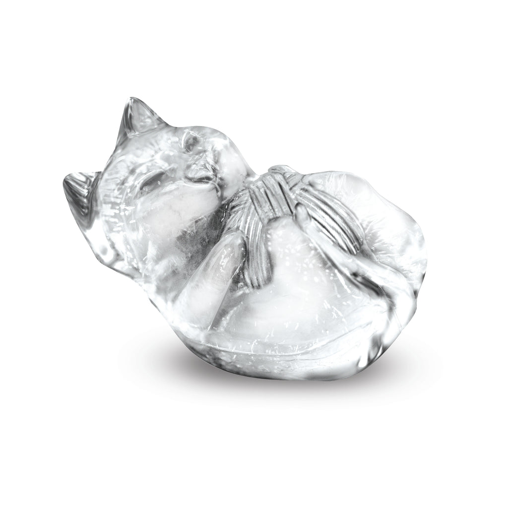 Designer Ice Mold