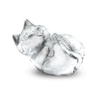 Designer Ice Mold