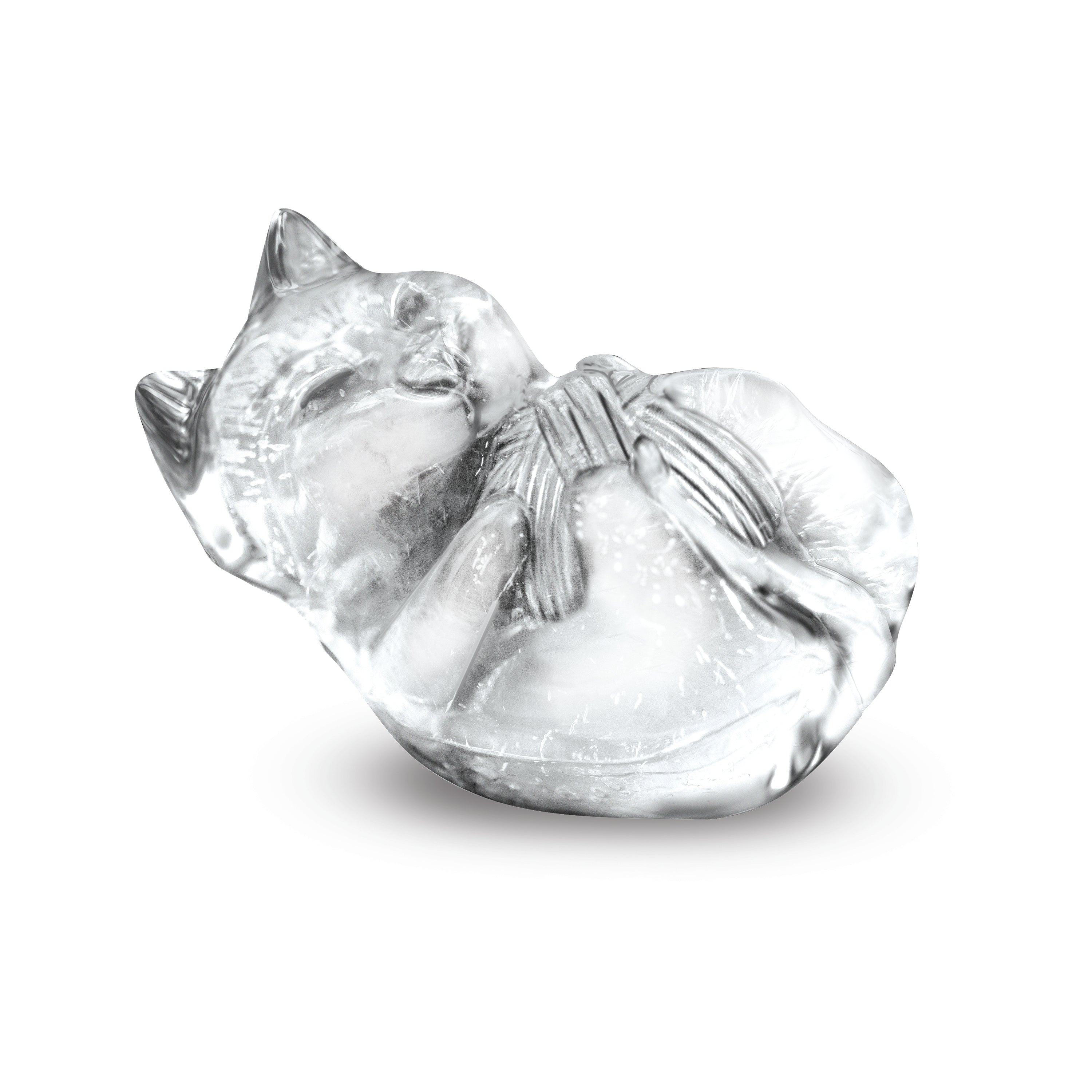 Designer Ice Mold