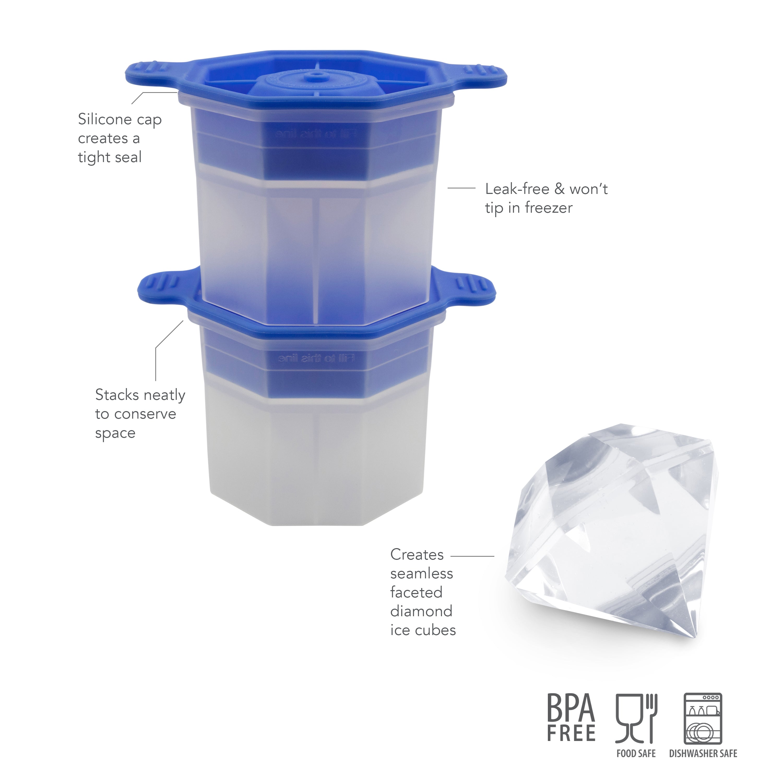 Designer Ice Mold