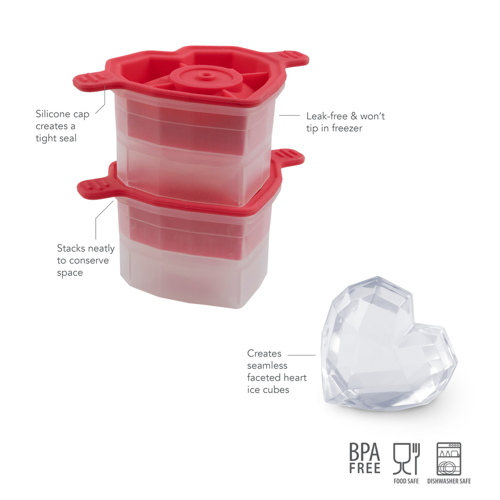 Designer Ice Mold