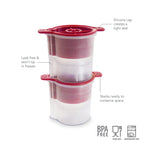 Holiday Ice Mold