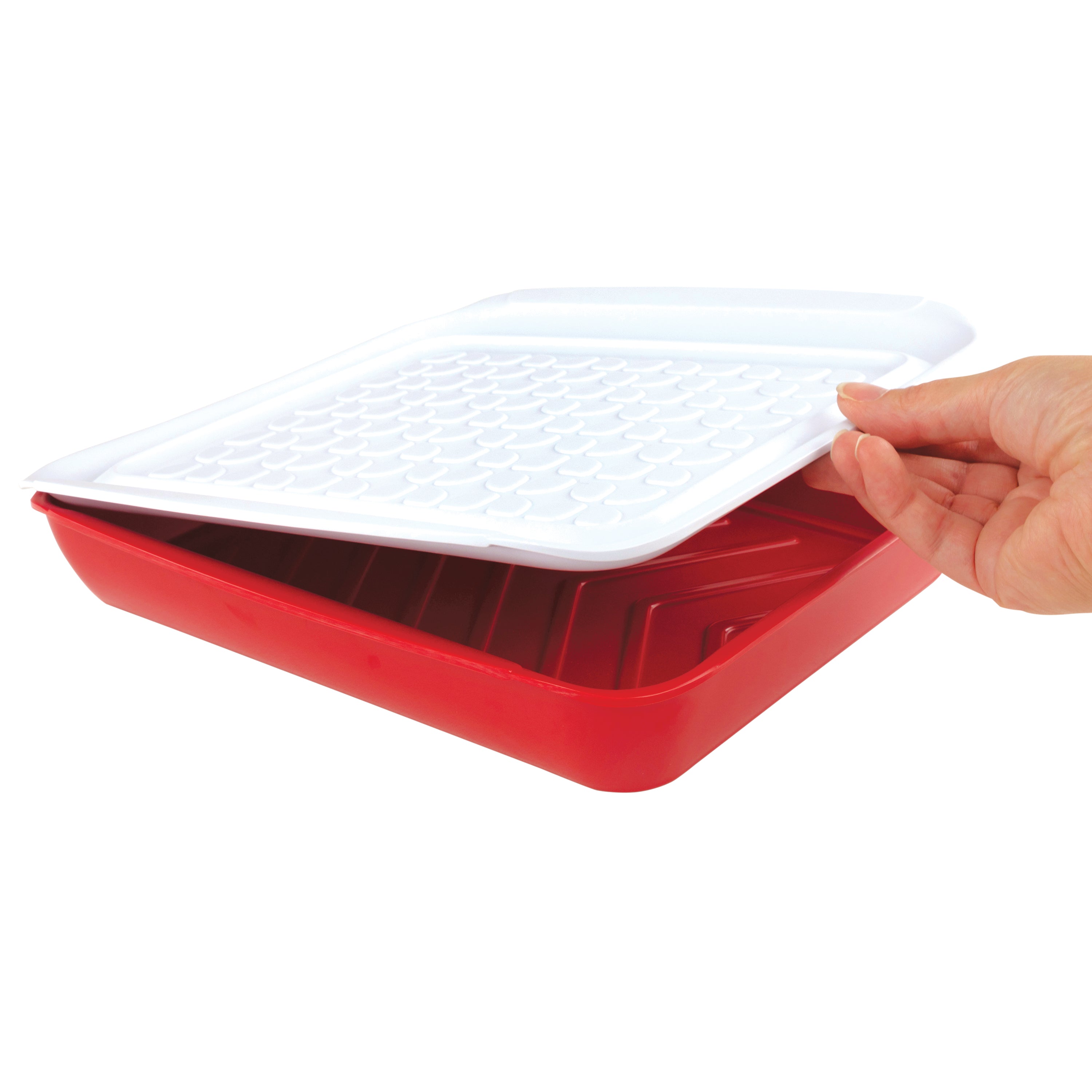 Marinade Tray