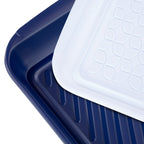 Marinade Tray