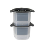 Designer Ice Mold