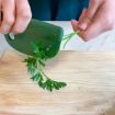 Picture of Scoop & Spread Kale N Herb Tool Pesto